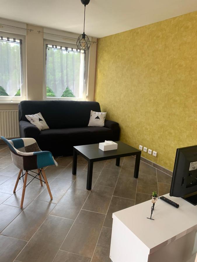 Saulcy-sur-MeurtheLe Meuble De Nayaアパートメント エクステリア 写真